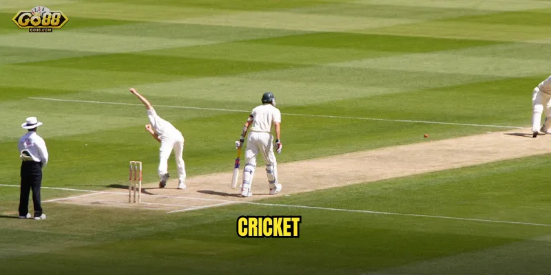 Cricket go88 sh - Đam mê cricket, rinh ngay triệu đồng về tài khoản 1 cricket