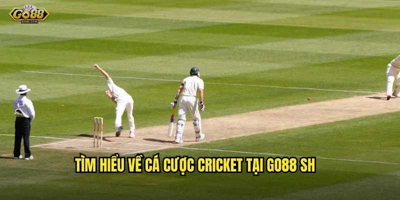 Cricket go88 sh - Đam mê cricket, rinh ngay triệu đồng về tài khoản 2 Tìm hiểu về cá cược cricket tại go88 sh