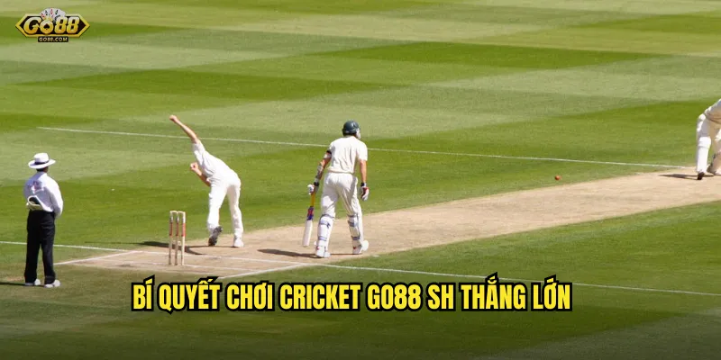 Cricket go88 sh - Đam mê cricket, rinh ngay triệu đồng về tài khoản 3 Bí quyết chơi cricket go88 sh thắng lớn